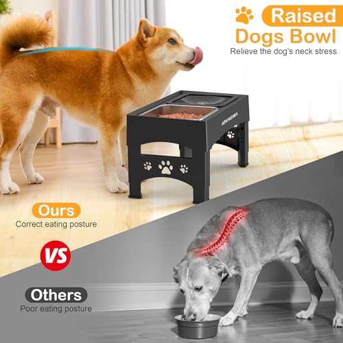 IOKHEIRA Ciotola per cani rialzata, 4 ciotole per