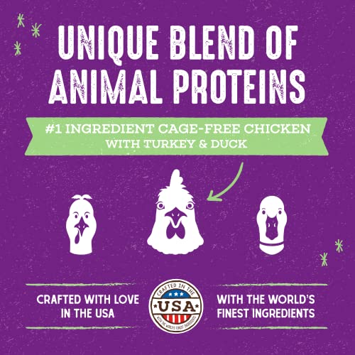 Stella & Chewy's Raw Blend Premium Kibble Cat Food – Grain Free, Protein Rich Meals – Cage-Free Poultry Recipe – 5 lb. Bag - image 3