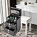 Large Capacity Rolling Cosmetic Case with Drawers, Multifunctional Beauty Salon Organizer with Wheels, Nail Tool Storage Box Train Cases with Lock, Weight Capacity 99 lbs, Travel Trolley (Black)