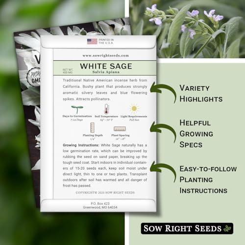 Sow Right Seeds - White Sage Seed for Planting - Non-GMO Heirloom Packet with Instructions for Planting and Growing a Home Herb Garden - Indoors or Outdoors - Make Your Own Herbal Incense (1) - Image 2