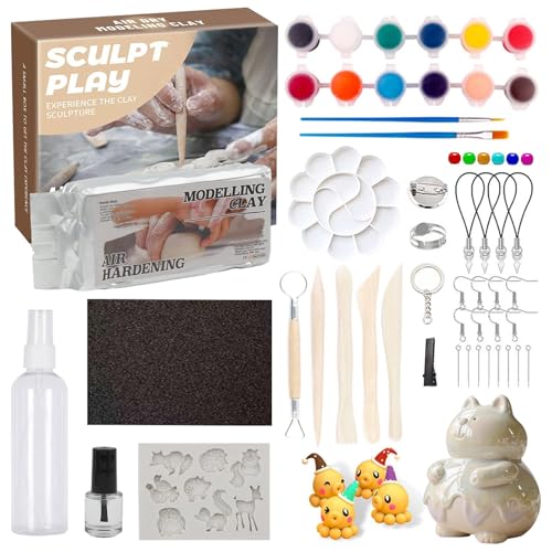 Kit di Ceramiche per la Casa, 22 pezzi Kit Ceramica da te Adulti con Accessori, 500 g di Argilla Asciutta All'aria, Argilla da Senza Cottura Bianca, per Lavori di Bricolage e Corsi D'arte