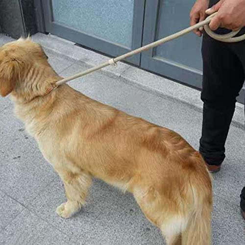 Pet Lead Belt Nylon Adjustable Harness Rope Portable Supplies Walking Training