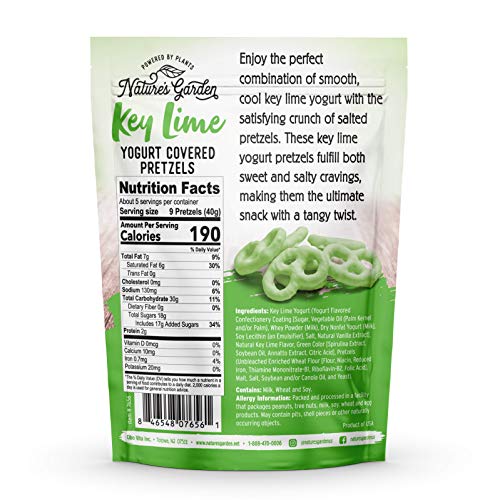 Nature's Garden Key Lime Yogurt Covered Pretzels – No Trans Fat, Indulgent Snack, Key Lime Pie Flavored Pretzels – 7 Oz Bag (Pack of 3)