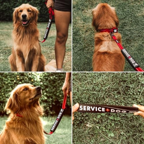 Waterproof Dog Leash Sleeve, Service Dog Dual-Sided Message Wrap, 1-Pack — view 4