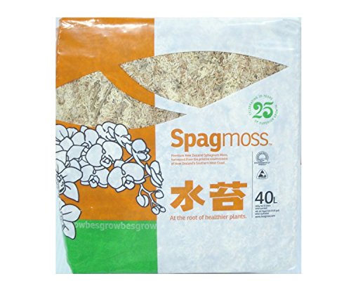 besgrow Spagmoss Premium New Zealand Sphagnum Moss AA Grade (500 Gram)