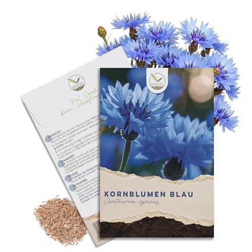 Kornblumen Samen (Centaurea cyanus) - Wunderschön leuchtende Blumen mit langer Blütezeit für eine bunte Blumenwiese (Blau, 1000 Korn, 80 cm)