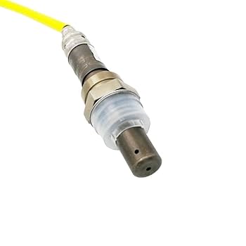 雨 1258598_big.jpg?1733499442