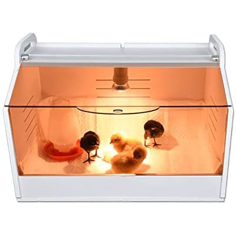 Amazon | 育雛箱 ヒヨコ保温箱 オウム保温箱 飼育箱 アヒル