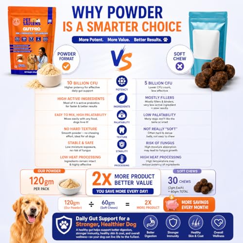Image of PETSAPIENS Pre + Probiotic Supplement for Dogs (480g) | 10B CFU | Boosts Gut Health & Immunity | Gluten-Free | Vet Formulated - Prevents Scratching, Paw-Licking and Indigestion, Chicken Flavour