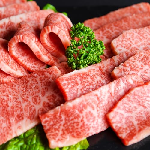 [訳あり][A4〜A5] 長崎和牛 焼肉用 約500g / 和牛 牛肉 お肉 肉 にく バラ 肩ロース モモ 冷凍 国産