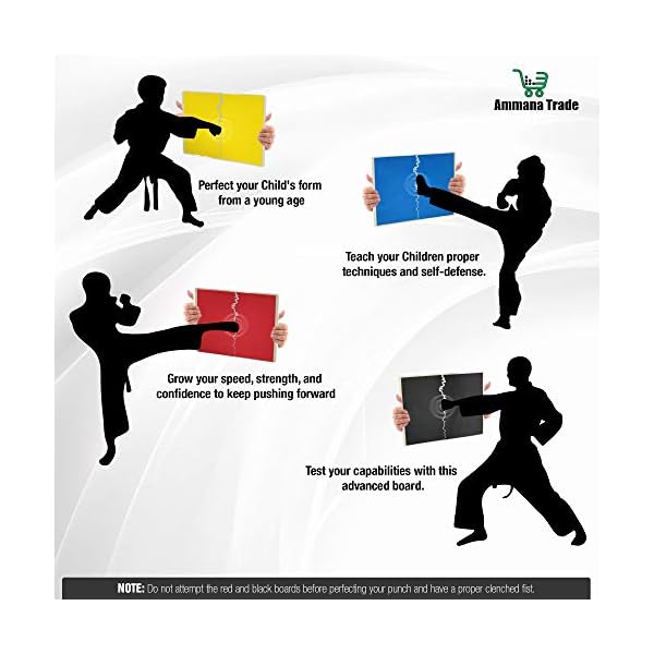 Rebreakable-Punching-Boards-Taekwondo-Karate-and-Martial-Arts-Board-Karate-Breaking-Board-for-Kids-and-Adults-Boxing-Equipment-and-Karate-Breaking-Board Rebreakable Punching Boards, Taekwondo Karate and Martial Arts Board for Kids and Adults, Boxing Equipment and Kickboxing (Yellow/Easy)