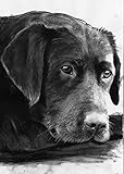 Labrador Wall Art Print, Black Lab Art, Lab Retriever Owner Gift, Black Dog Decor, Charcoal Dog...