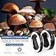 JJC Makro-Verlängerungsrohr (11 mm + 16 mm), Autofokus für Panasonic/Sigma/Leica L-Mount-Objektivkameras, Nahaufnahmen, Makrofotografie, Verlängerungsring-Körper, hinterer Objektivdeckel-Set