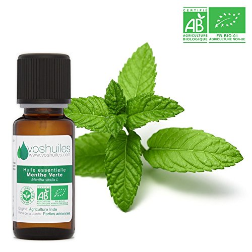 Aceite Esencial De Menta Verde Orgánico - 10 Ml