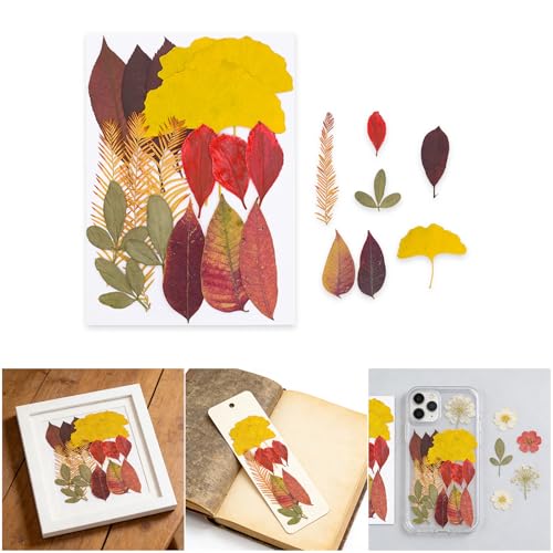 Set de Flores Naturales Prensadas para Arte y Joyería miniatura 2