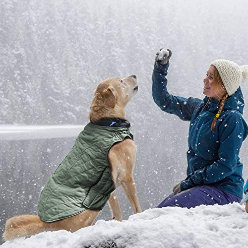 Emust Winter Dog Coats, Dog Apparel For Cold Weather, British Style Windproof Warm Dog Jacket For Small Dog Coats For Winter, 7 Sizes 13 Colors(X-Small(Pack Of 1), Green) #TOP5