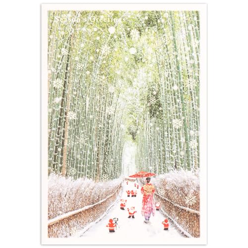 ~jT^ O[eBOCt NX}X J[h a |т̓ SJ-65