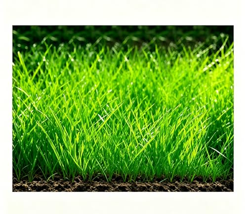 Saterkali Graines d'herbe d'eau d'aquarium, 100pcs graines d'herbe d'eau d'aquarium décor de paysage de plante hydrophile de réservoir de poissons Grosses...