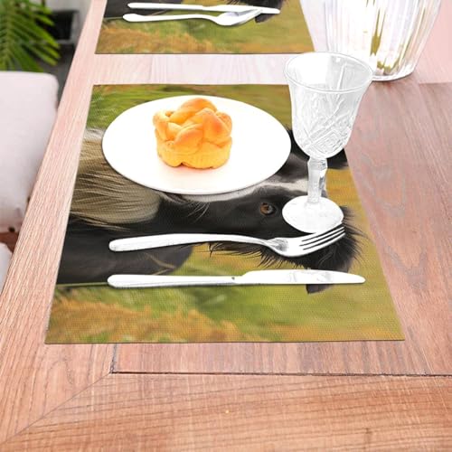Set de table PVC Border Collie lavable Mohado 30x45cm