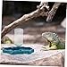 Toyvian Reptile Automatic Water Feeder Basin and Food Plate Pet Water Dispenser for Tortoise Lizard and Other Reptiles Durable Design Lake Blue Color
