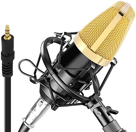 Pyle PDMIC71 Condenser Microphone Bundle, 3.5 mm Recording Microphone, Shock Mount Plug and Play,Computer Microphone, Podcast, Recording, Studio Vocal, YouTube