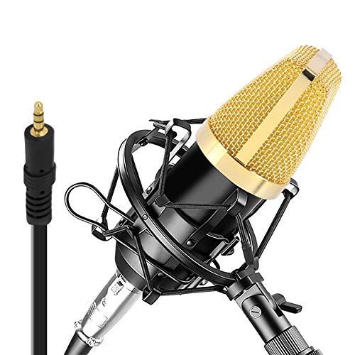 Best Budget Condenser Mic Acoustic Guitar Expert Review The Modern Record