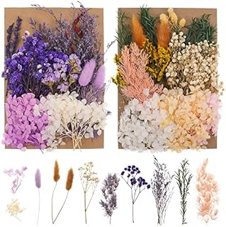 QINREN 2 Packs Real Natural Dried Flowers, Mixed Dried Pressed Flowers and Leaves Set Artificial Everlasting Flowers for DIY Arts Resin Scrapbooking Jewelry Making Floral Decorations