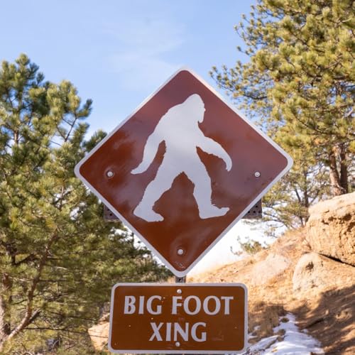 『Types of Packs』のカバーアート