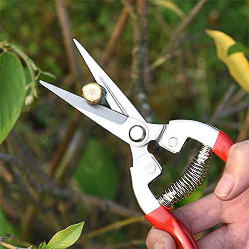 Tijeras de podar para jardín YELUN clásicas miniatura 3