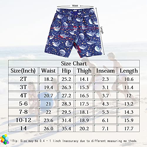 Ugrevz Boys Swim Trunks Swim Shorts Kids Bathing Suit Beach Board Shorts Quick Dry Toddler Swimsuit Little Boy Swimwear (St01Shark-2T) #TOP5