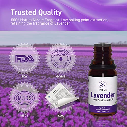 Foto von ASAKUKI Ätherisches Lavendelöl 10mL 100% Reines, Unverdünntes Natürliches Lavendelöl in Therapeutischer Qualität für Aromatherapie, Duftöl für Aroma Diffuser, SPA, Äußerliche Anwendung - YAHIME