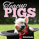 Teacup Pigs