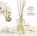 Urban Naturals Tuberose Fragrance Oil Reed Diffuser | Exotic Tuberose and Fragrant Orange Blossom | Floral Room Freshener with Reeds | Vegan. Made in The USA