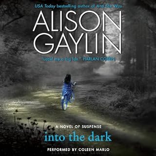 Into the Dark Audiolibro Por Alison Gaylin arte de portada