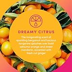 Clean Revolution Foaming Hand Soap Refill Supply Container, Ready to Use Formula, Dreamy Citrus Fragrance, Gluten Free, 128 Fl. Oz - Image 2