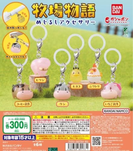 全6種コンプ 牧場物語 めじるしアクセサリー