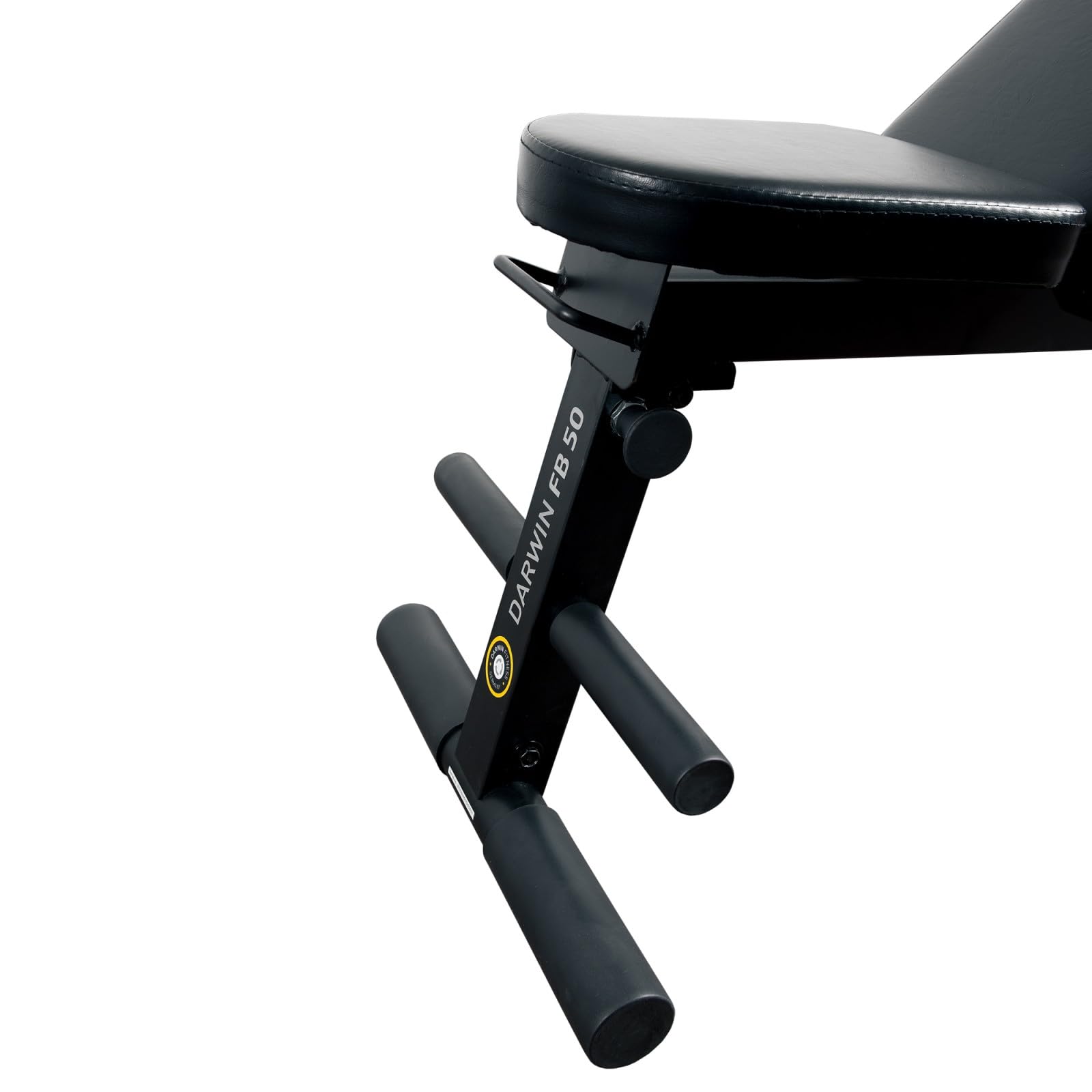 DARWIN FITNESS Hantelbank FB50, 7-Fach verstellbare Rückenlehne | Gewichtsbank, 150 kg Belastbarkeit, 129x43x36 cm
