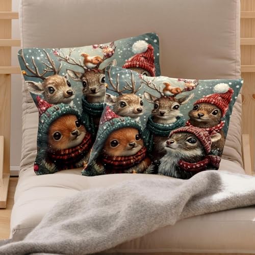 Housse de coussin 50x50 velours lavable pour changer de décoration de Noël
