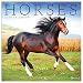 2020 Horses Wall Calendar