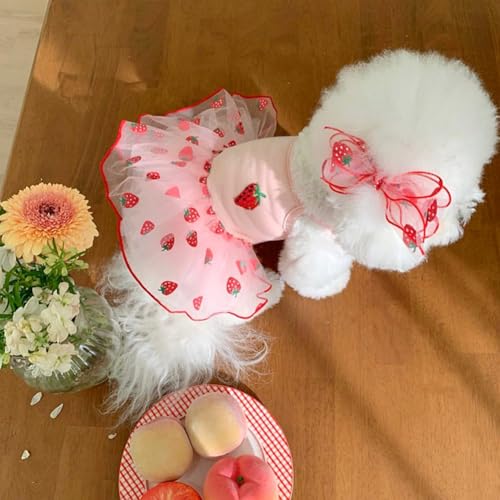 킢̃hX Ȍ̕ ̎qp  q ߑ sN Xgx[ ybg ĕ  񂿂 L vZX hX n[lXZbg x a p[eB[ RX`[ (sNAXS)