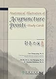 Anatomical Illustration of Acupunture Points Study Cards