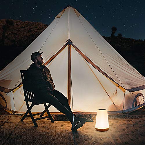 Table Lamp Touch Night Light - Portable Sensor Remote Control Bedside Lamps With Quick Rechargeable Usb Dimmable Warm White Light 13 Colors Rgb Table Lamp For Bedroom Living Room Office (White) #TOP6