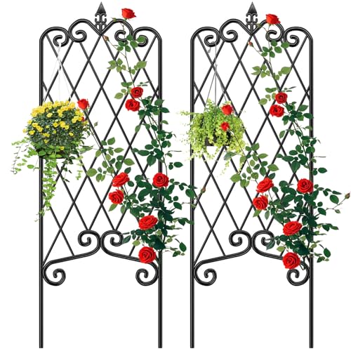 AMAGABELI 2 Pack 60in Trellis