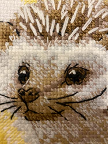 Image of RIOLIS - Forest Dweller 2093, Cross Stitch Kits 6 inchX7 inch, Cross Stitch Kits for Beginners & Advanced, Crossstitching Kits Adult, Counted Stitching Kits, Embroidery Kit