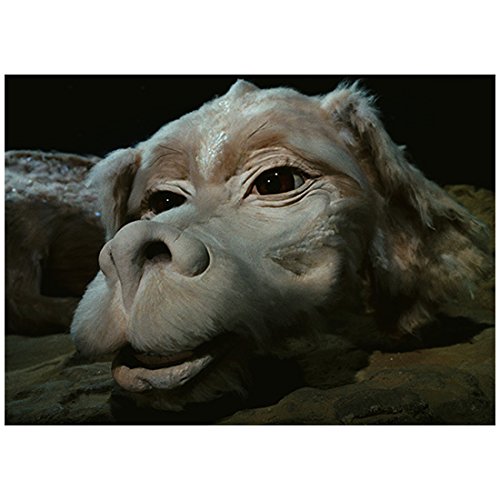 The Neverending Story Falcor 8 x 10 Inch Photo