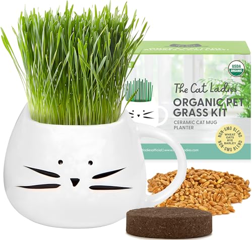 Cat Ladies Organic Cat Grass Growing Kit
