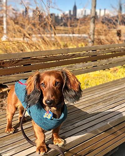 Gooby Zip-Up Fleece Dog Sweater, Gray Wash, Medium | Soft warm fleece; Step-in zip-up; Dual D-ring leash; Bottom-opening design; Machine washable - Image 7