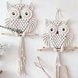Breezsisan 2 Pcs Owl Macrame Wall Hanging Tapestry Art Decor Handmade Woven Boho Ornament Wall Hanger for Office Bedroom Apartment Living Room Nursery Gallery(Width: 11.8'& 5.9')