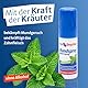 One Drop Only antibakterielles Mundspray - 1er Set - Mundspray ohne Alkohol mit natürlichen Inhaltsstoffen für frischen Atem (1 x 15 ml) (Packung mit 3)