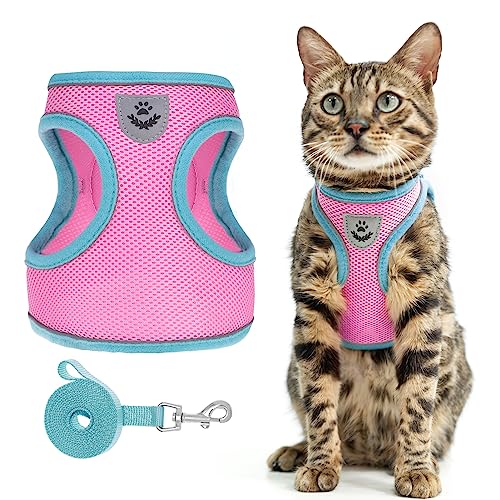 SCENEREAL-Cat-Harness-and-Leash-Set-Escape-Proof-Adjustable-Soft-Air-Mesh-Cat-Harnesses-for-Girls-Boys-Reflective-Light-Cat-Vest-for-Kitten-Puppy-Rabbit-Pet-Vest-Harnesses-for-Small-Medium-Big-Cats